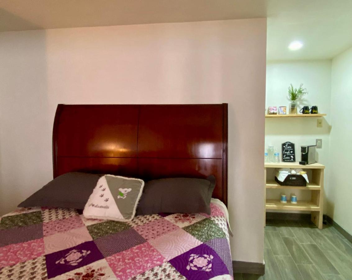 Las Palmas  Kalanchoe Poshtel Suites المظهر الخارجي الصورة