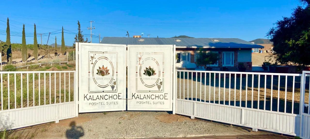 Las Palmas  Kalanchoe Poshtel Suites المظهر الخارجي الصورة